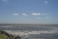 web-die-nordsee.jpg